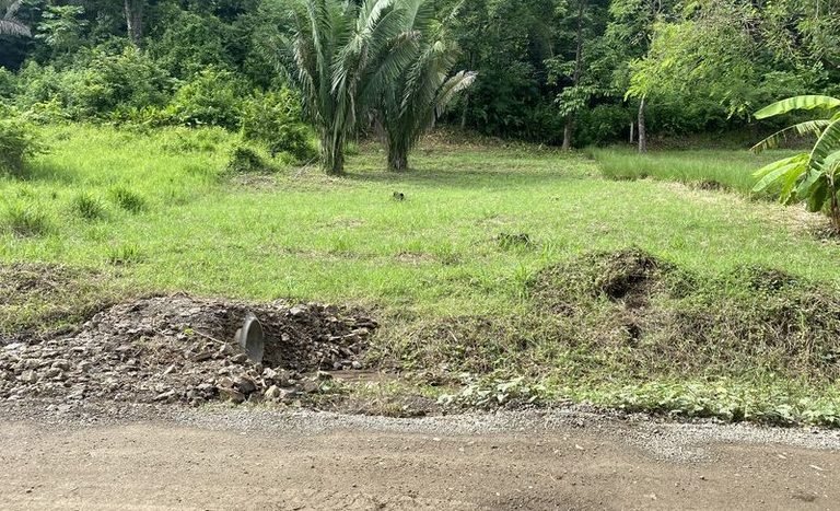 6- Building Lots For Sale - Maison a Vendre - Playa Samara Guanacaste Costa Rica.JPG