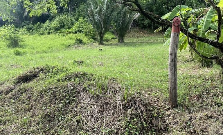 5- Building Lots For Sale - Maison a Vendre - Playa Samara Guanacaste Costa Rica.JPG