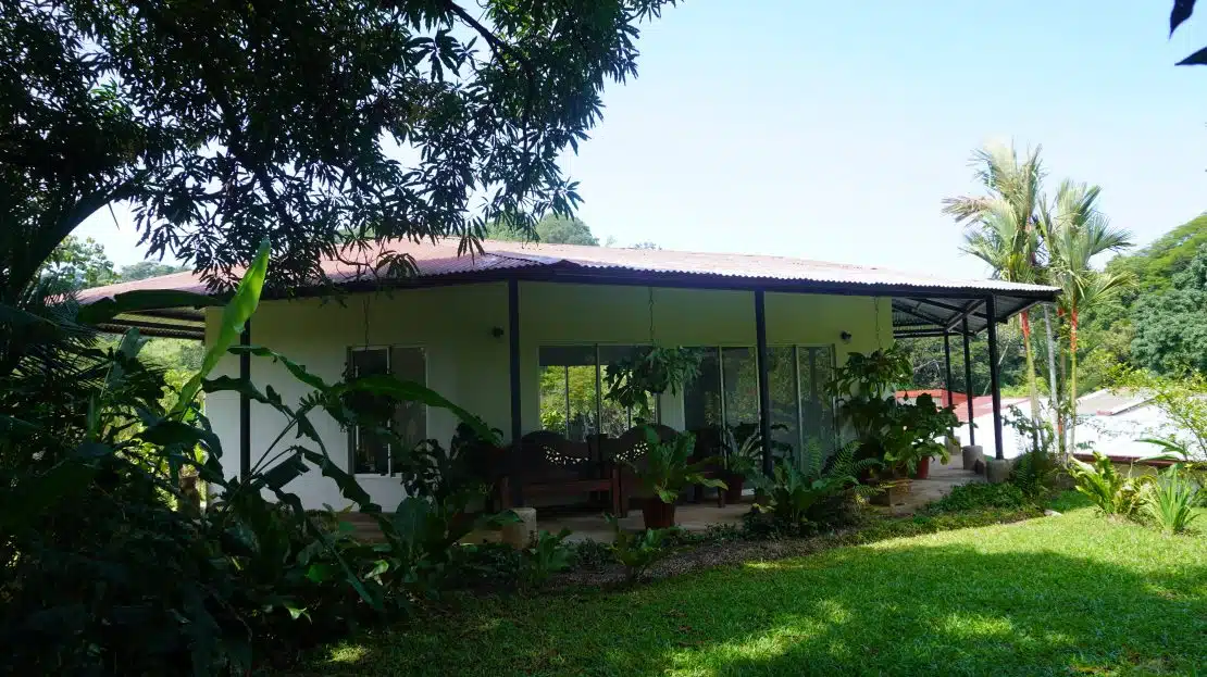 video image