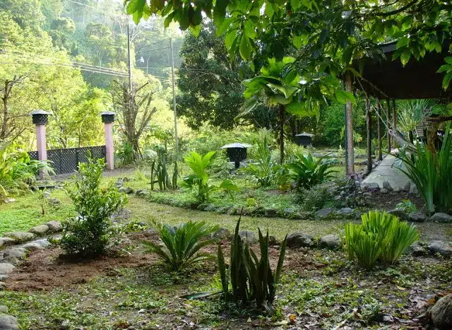Property for sale Puerto Jimenez 16