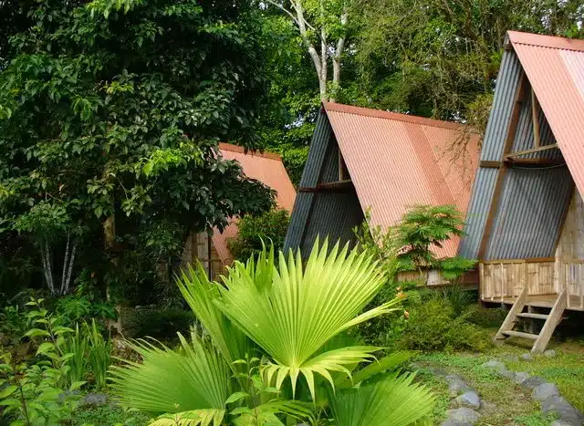 Property for sale Puerto Jimenez 17