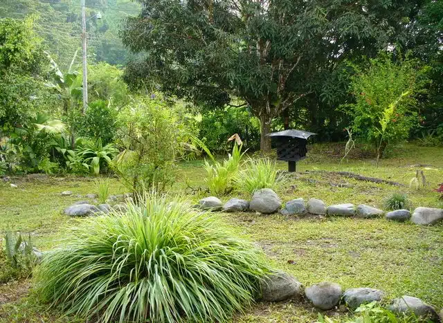 Property for sale Puerto Jimenez 18