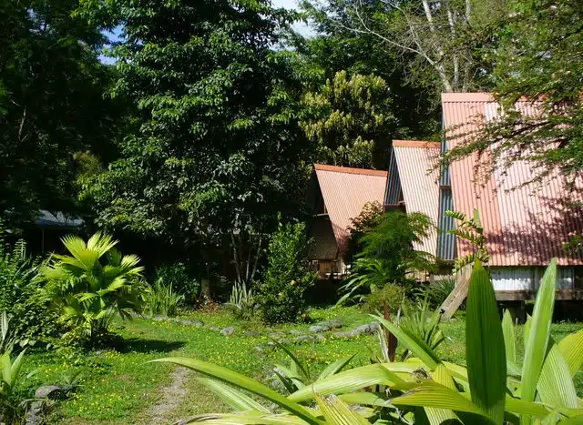 Property for sale Puerto Jimenez 21