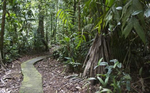 Capturing-the-Beauty-of-Costa-Rica