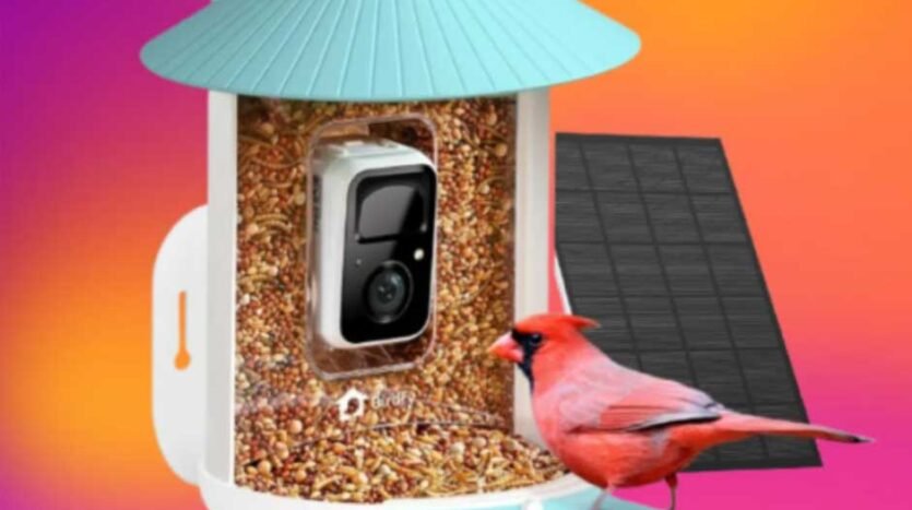 Smart Bird Feeder Instructions