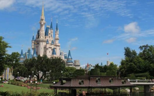 Understanding the DVC Resale Fidelity Process: A Step-by-Step Overview