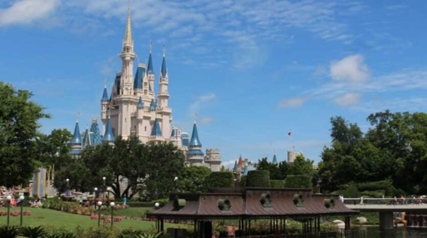 Understanding the DVC Resale Fidelity Process: A Step-by-Step Overview