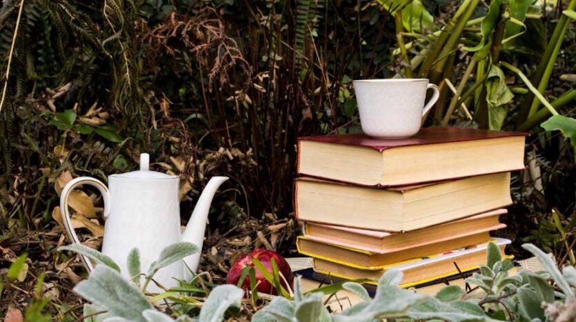 Rainy Season Reads: 8 Perfect Books for Costa Rica’s Cozy Afternoons