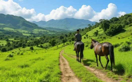 Best-Places-for-Horseback-Riding-Near-Jaco