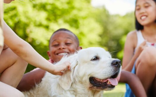 Moving Abroad With Pets