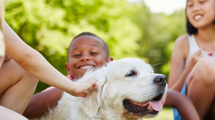 Moving Abroad With Pets