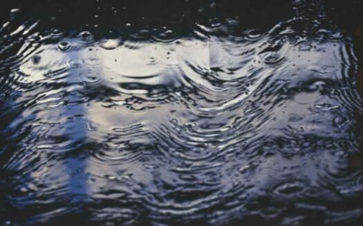 What Are the Most Common Causes of Water Damage in Homes?