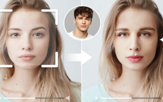 Vidqu Face Swap Review