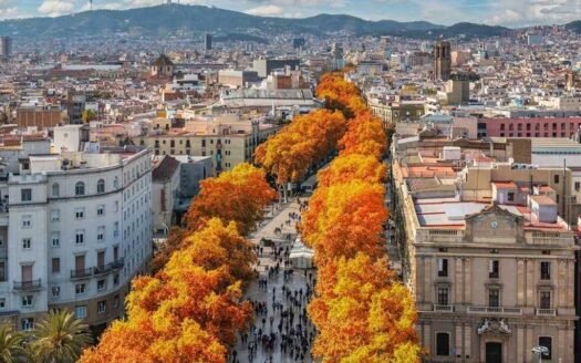 Real Estate in Barcelona: A Traveler’s Guide to Investing by the Mediterranean