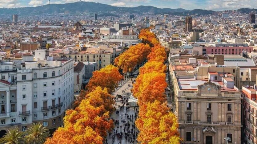 Real Estate in Barcelona: A Traveler’s Guide to Investing by the Mediterranean