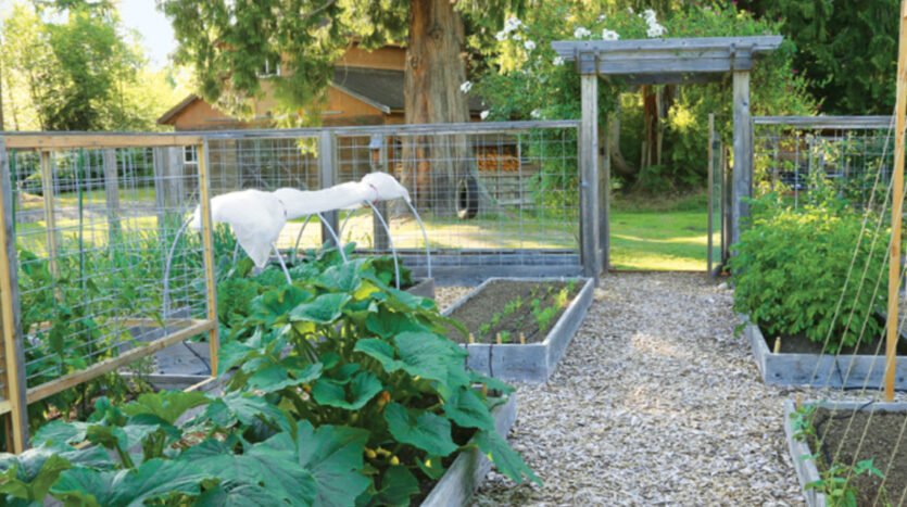 How to Protect Your Garden From Common Backyard Pests Without Harming Wildlife