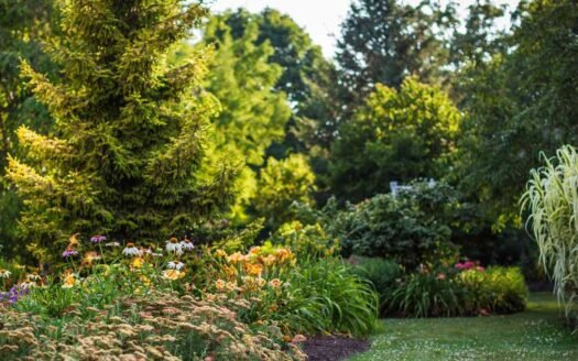 The-Best-Trees-and-Shrubs-for-Long-Term-Growth