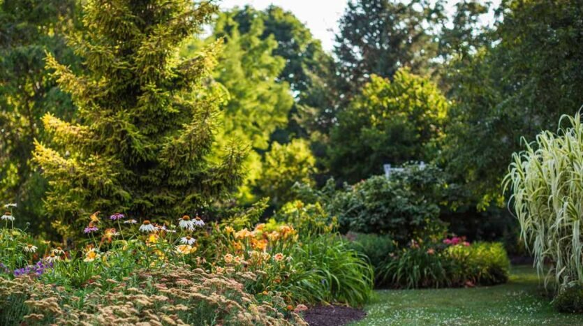 The-Best-Trees-and-Shrubs-for-Long-Term-Growth