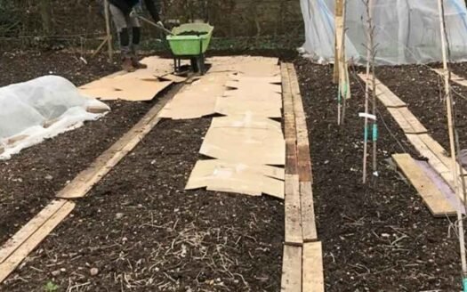 The-Dirt-on-No-Dig-Gardening