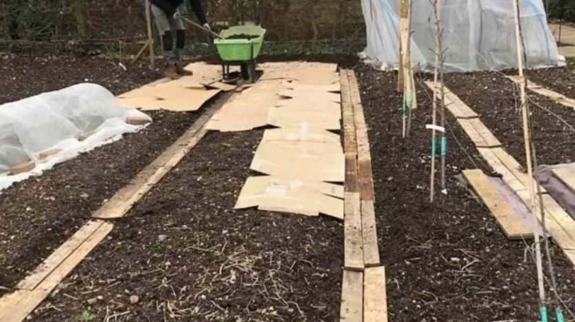 The-Dirt-on-No-Dig-Gardening