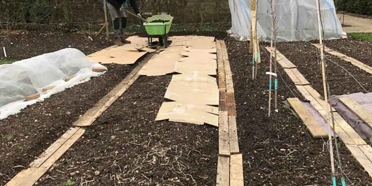 The-Dirt-on-No-Dig-Gardening