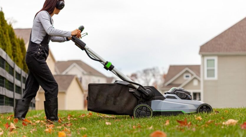 seasonal-lawn-care-schedule-month-by-month-guide-f-1
